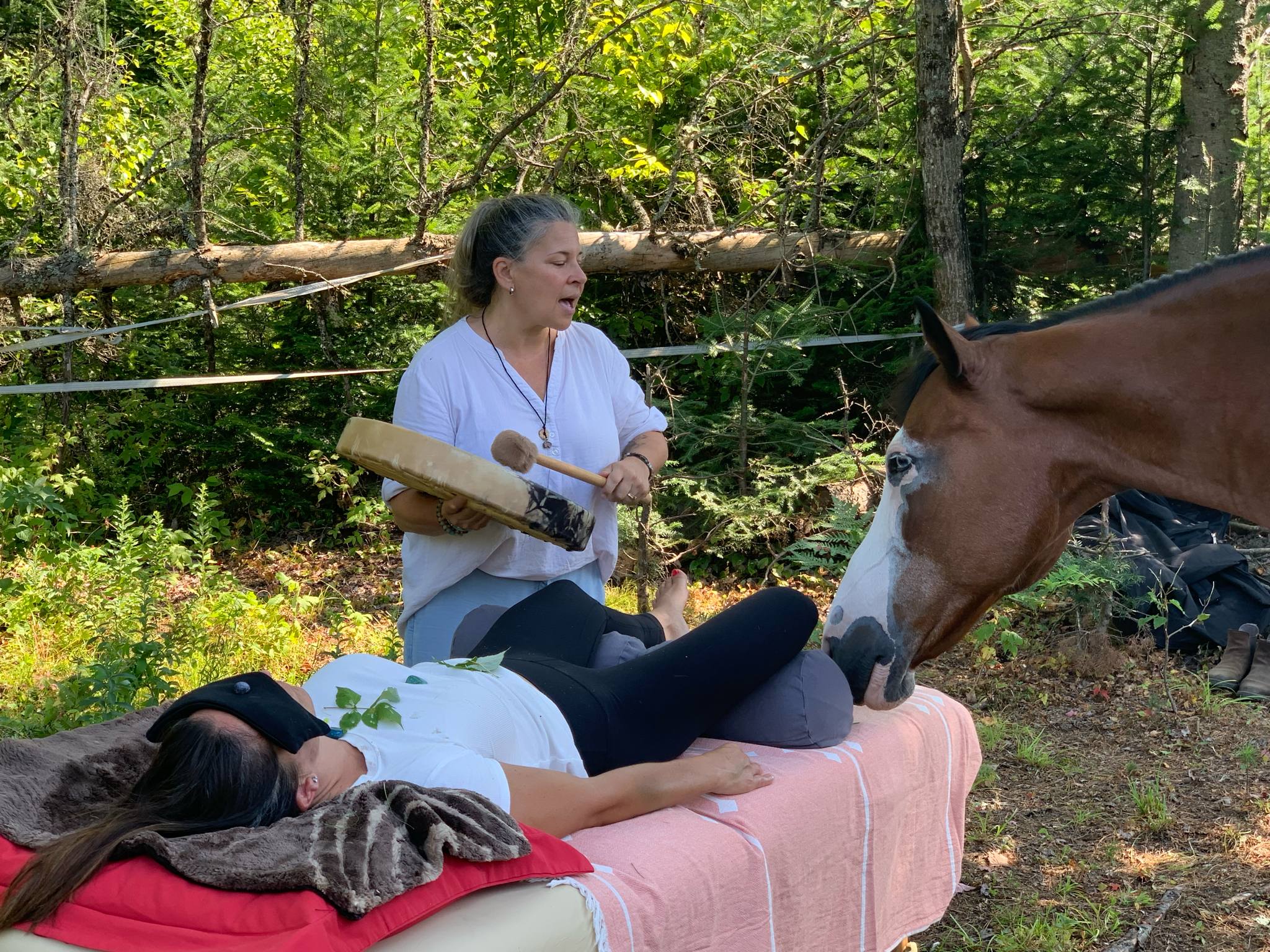 Soins Vibratoires et Énergétiques